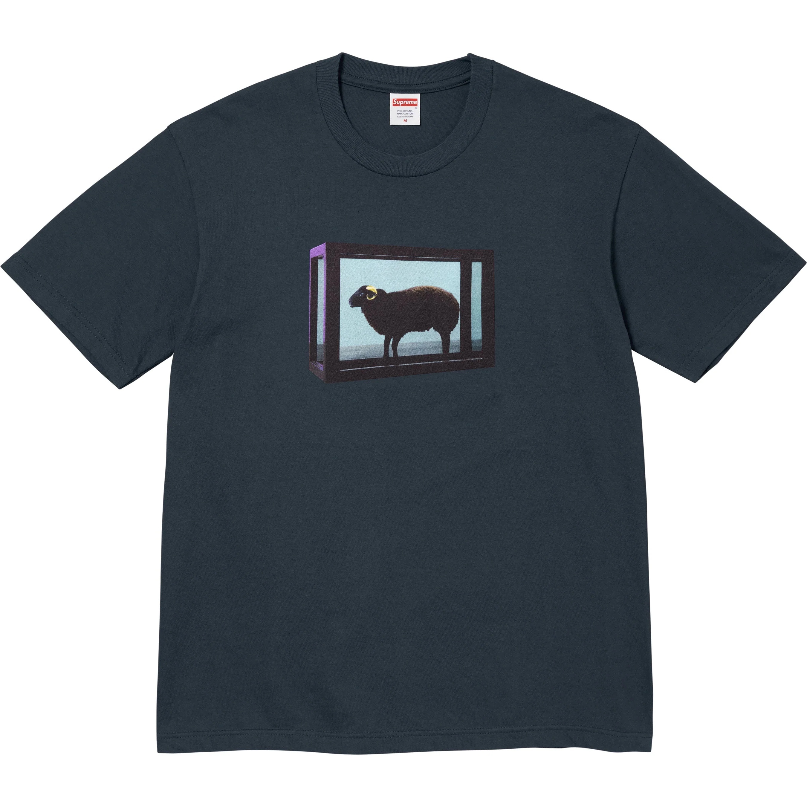 Supreme/Damien Hirst Tee view 12